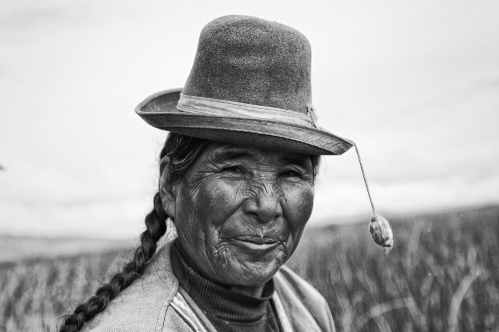 Andean altiplano landscape