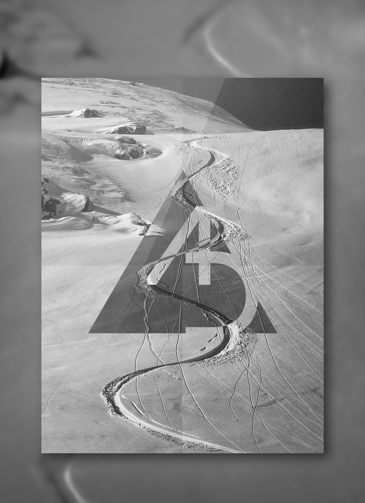 Audience ski graphic