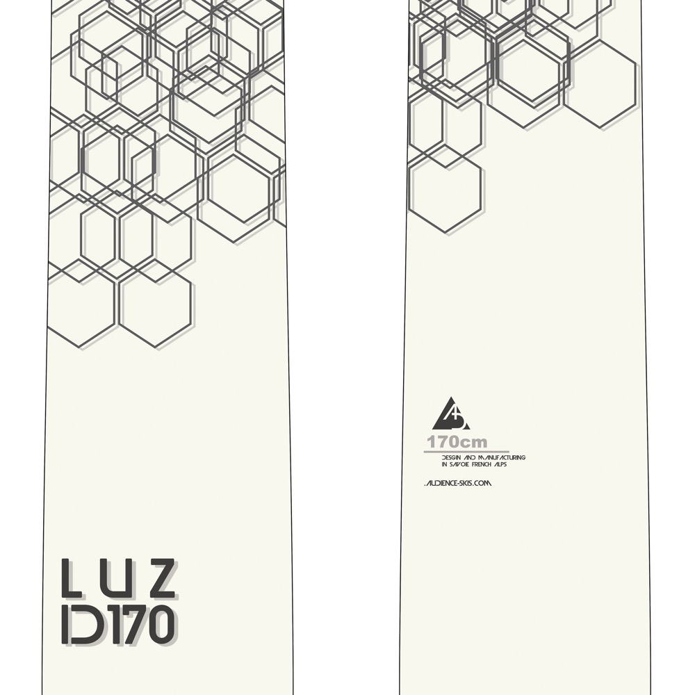 Audience ski graphic
